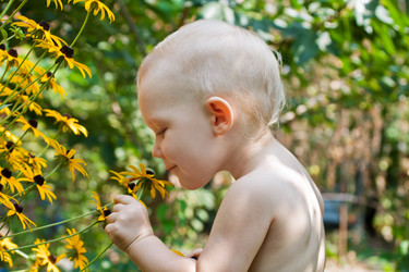 Similar image 354588