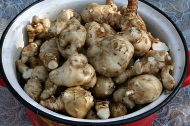 Similar image 354631