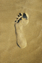 Similar image 354680