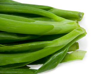 Similar image 354728