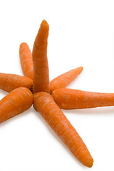 Similar image 354733