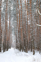 Similar image 354737