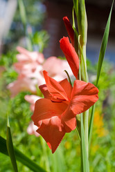 Similar image 354745