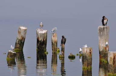 Similar image 354755