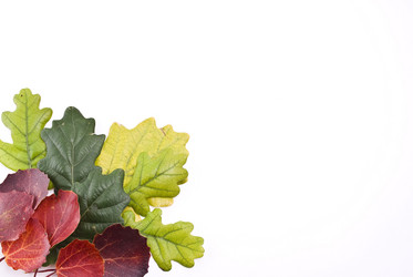 Similar image 354918