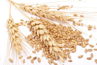 Similar image 354927