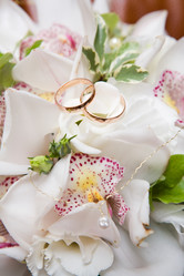 Similar image 354930