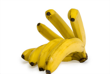 Similar image 355004