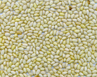 Similar image 355088