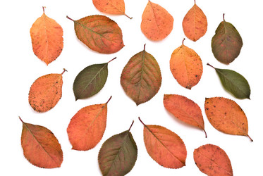 Similar image 355112