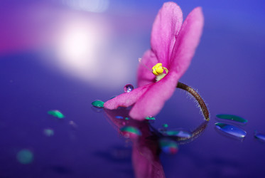 Similar image 355159