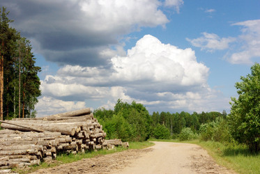 Similar image 355355