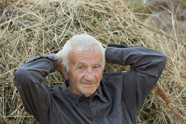 Similar image 355424