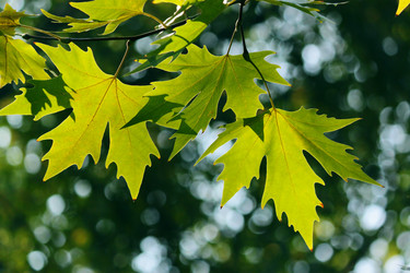 Similar image 355476