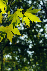 Similar image 355477