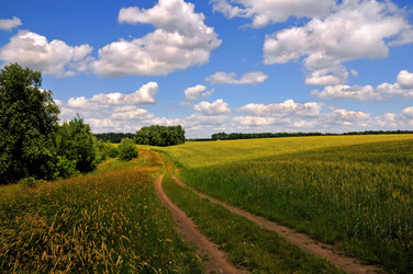 Similar image 355503