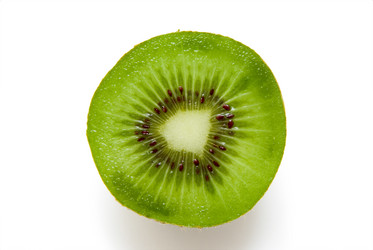 Similar image 355576