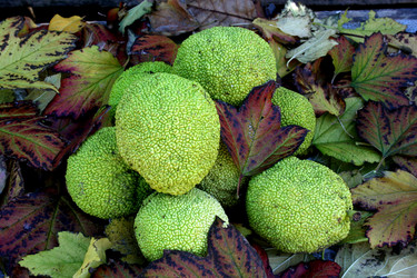 Similar image 355588