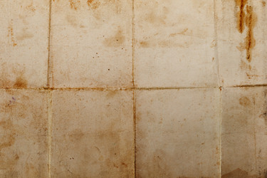 Similar image 355632