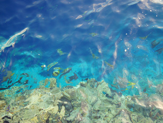 Similar image 355651