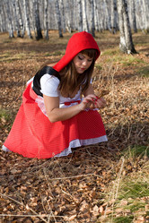 Similar image 355711