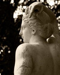 Similar image 355772