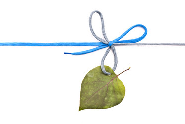 Similar image 355774