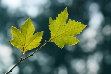 Similar image 355802