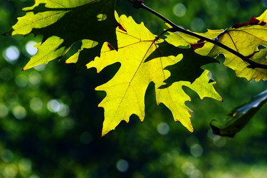 Similar image 355803