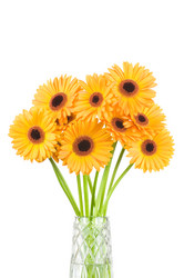 Similar image 355918