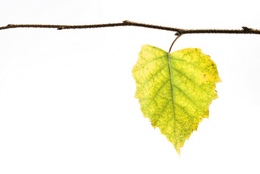 Similar image 355961