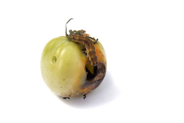 Similar image 355977