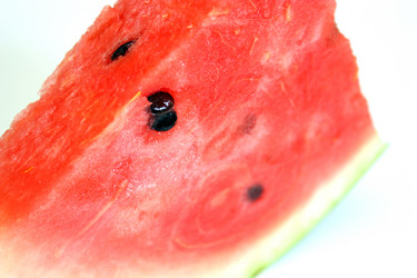 Similar image 356006