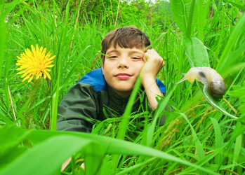 Similar image 356040