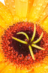 Similar image 356042