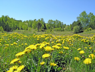 Similar image 356046