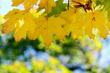 Similar image 356056