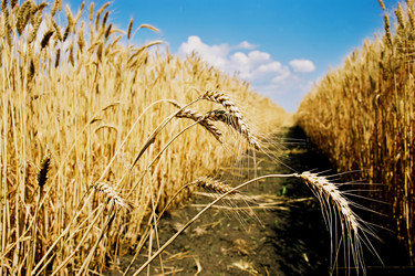 Similar image 356160