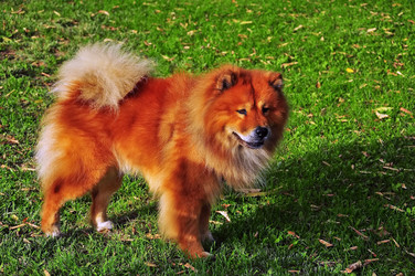 Similar image 356256