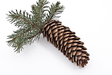 Similar image 356257