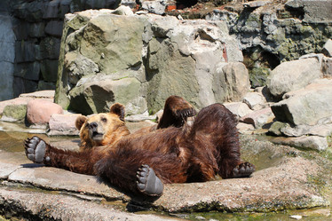 Similar image 356259