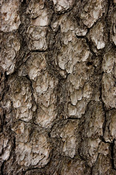 Similar image 356317