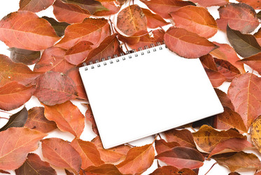 Similar image 356391