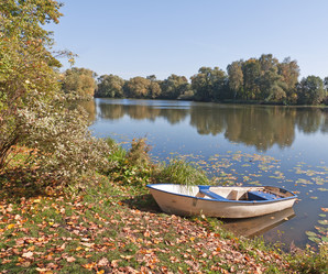 Similar image 356500