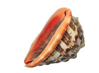 Similar image 356516