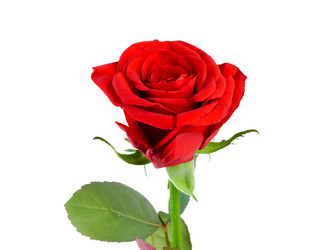 Similar image 356601