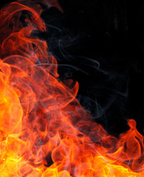 Similar image 356613