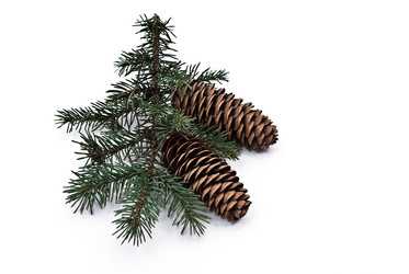 Similar image 356619