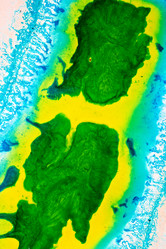 Similar image 356653