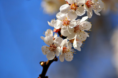 Similar image 356725